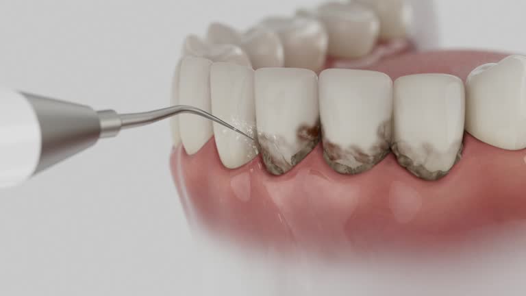 Reliable Emergency Dentist contractor in Cheboygan County County, MI by Dentist Open Now